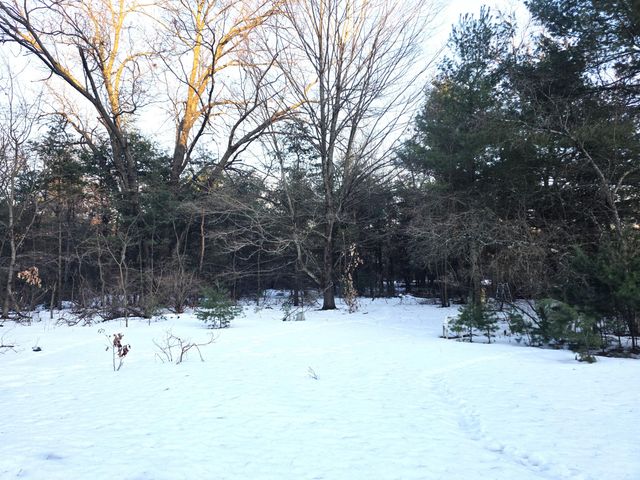 3696 S Locust Avenue, Newaygo, MI 49337