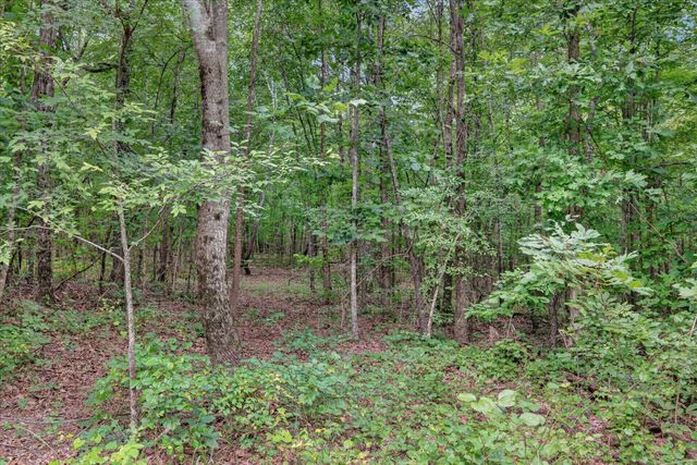 1 White Oak Road, Stewart, TN 37175