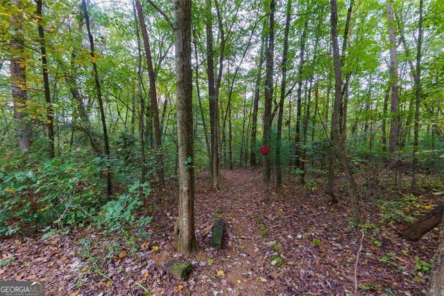 67 Ballard Lane, Ellijay, GA 30536