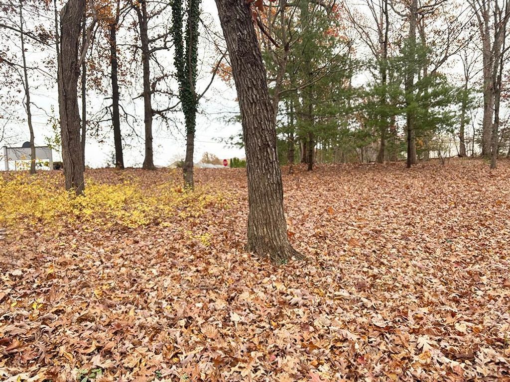 0 Ivy Woods Drive, Forest, VA 24551