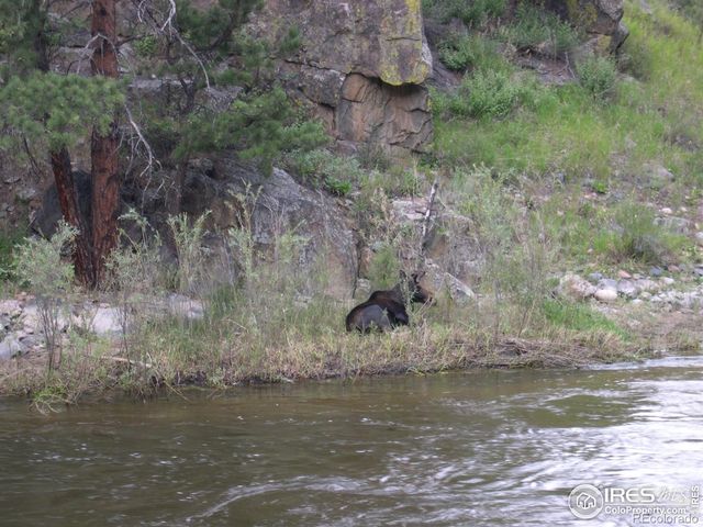 31 Kings Canyon Road, Bellvue, CO 80512