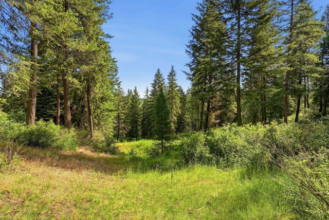 12112 E BURNETT Rd, Mead, WA 99021