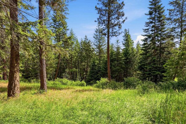 12112 E BURNETT Rd, Mead, WA 99021