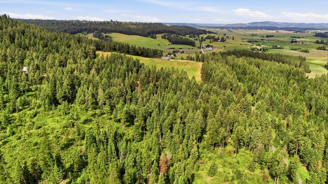 12112 E BURNETT Rd, Mead, WA 99021