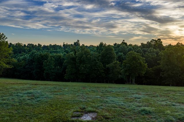 7810 W Lick Creek Rd, Primm Springs, TN 38476