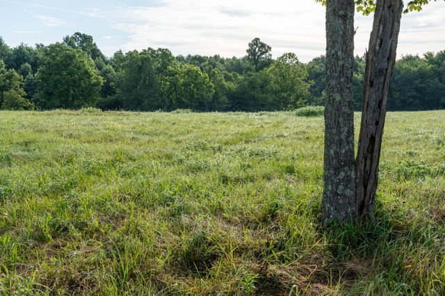 7810 W Lick Creek Rd, Primm Springs, TN 38476