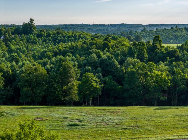7810 W Lick Creek Rd, Primm Springs, TN 38476