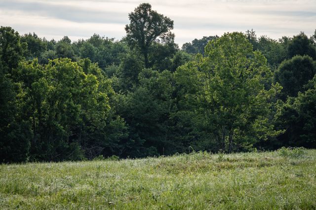 7810 W Lick Creek Rd, Primm Springs, TN 38476