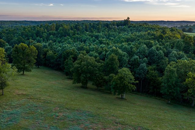 7810 W Lick Creek Rd, Primm Springs, TN 38476