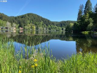 71501 FISHHAWK Rd, Birkenfeld, OR 97016