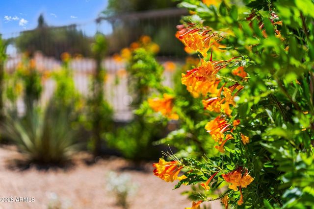 33495 N 83RD Street, Scottsdale, AZ 85266