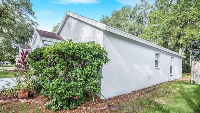 15120 DEER MEADOW DRIVE, Lutz, FL 33559