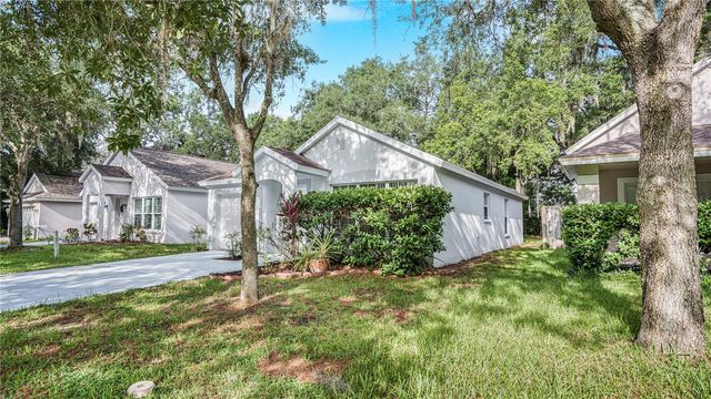 15120 DEER MEADOW DRIVE, Lutz, FL 33559