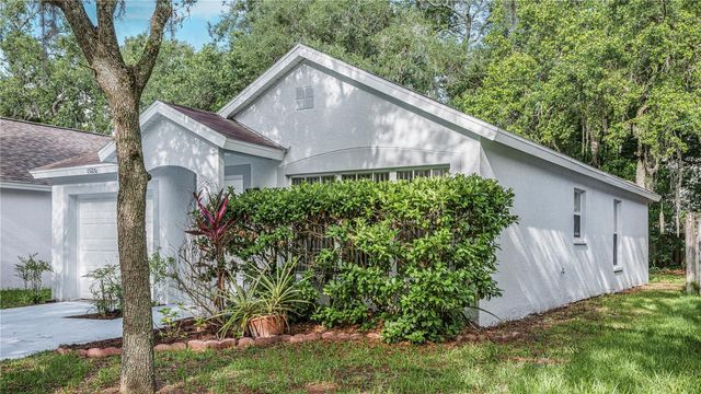 15120 DEER MEADOW DRIVE, Lutz, FL 33559