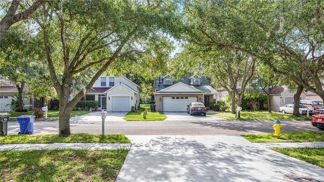 15120 DEER MEADOW DRIVE, Lutz, FL 33559