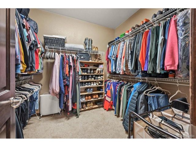 1313 Single Tree Ln, Erie, CO 80516