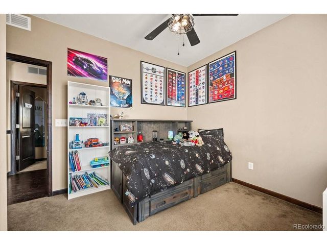 1313 Single Tree Ln, Erie, CO 80516