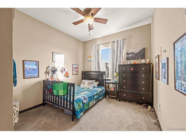 1313 Single Tree Ln, Erie, CO 80516