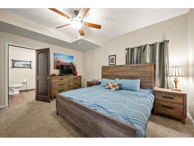 1313 Single Tree Ln, Erie, CO 80516