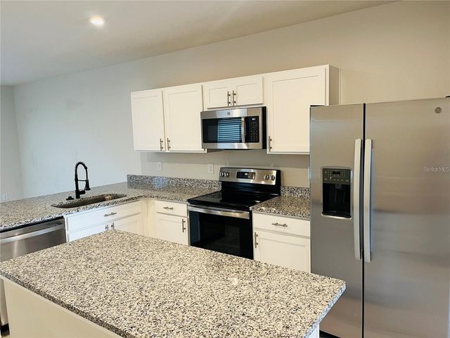 294 BLUEBERRY LANE, Davenport, FL 33837