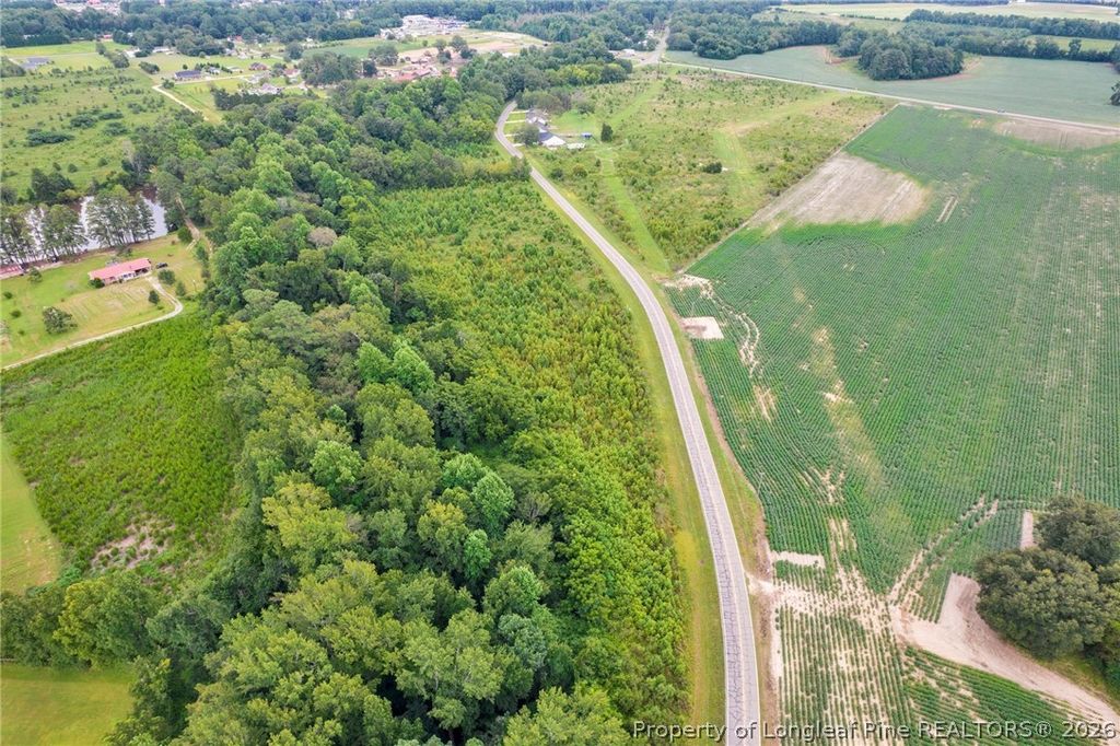 Wallace Mclean Road, Raeford, NC 28376 — photo 3