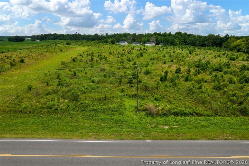 Wallace Mclean Road, Raeford, NC 28376 — photo 9