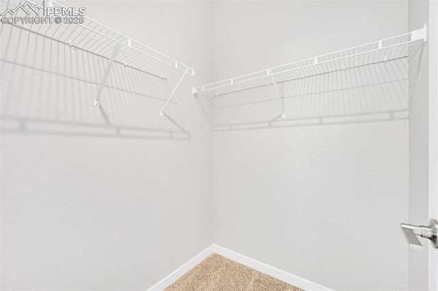 8148 Manor House Way, Colorado Springs, CO 80908