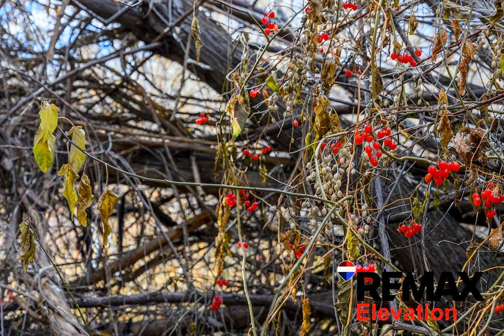 155 Highway 14A West, Byron, WY 82412 photo 29