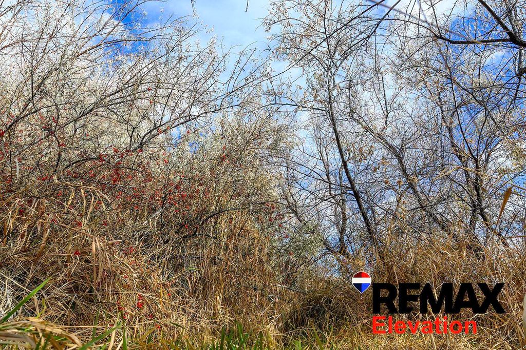 155 Highway 14A West, Byron, WY 82412 photo 30