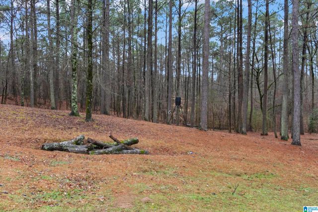 7030 HIGHWAY 30, Helena, AL 35080