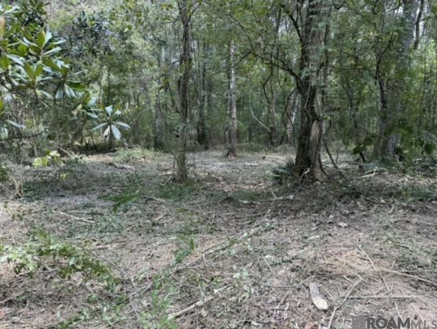 33550 Stella Ln, Walker, LA 70785
