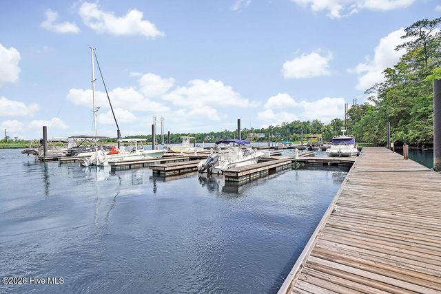 166 Kerr Landing Drive, Castle Hayne, NC 28429