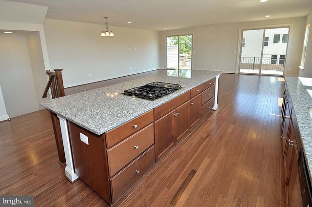 22816 BREEZY HOLLOW DR, Brambleton, VA 20148