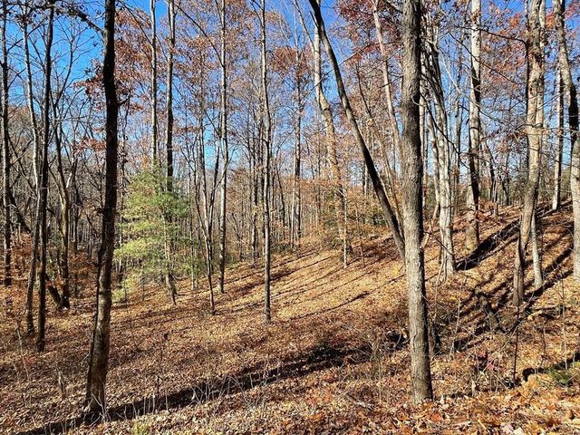 TBD Ashe Knob Drive, Hayesville, NC 28904
