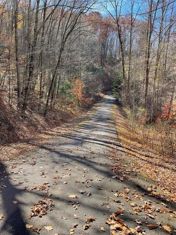 TBD Ashe Knob Drive, Hayesville, NC 28904