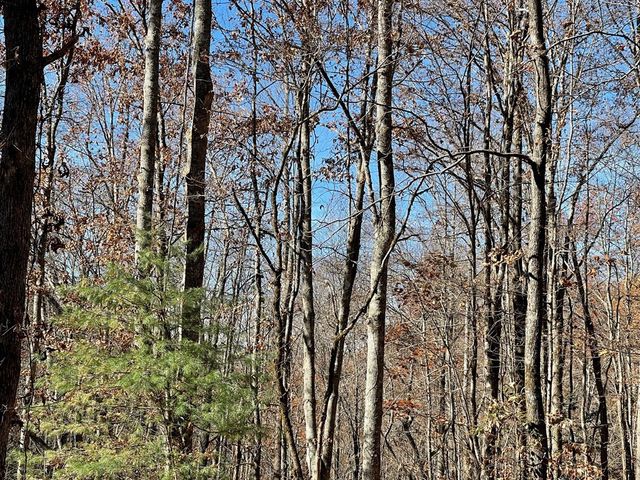 TBD Ashe Knob Drive, Hayesville, NC 28904