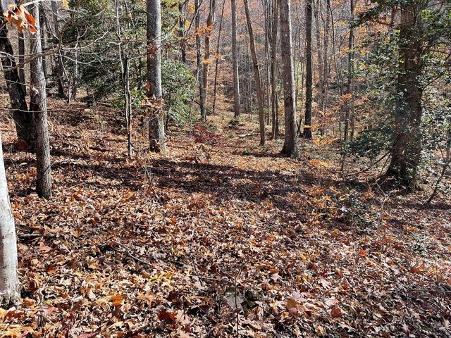 TBD Ashe Knob Drive, Hayesville, NC 28904