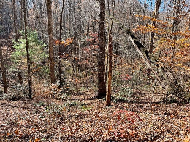 TBD Ashe Knob Drive, Hayesville, NC 28904