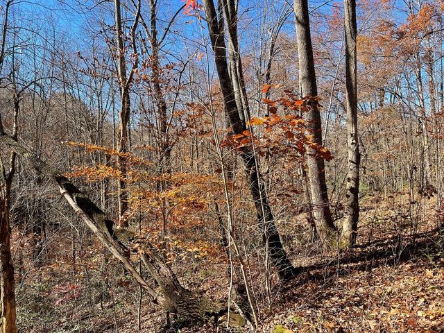 TBD Ashe Knob Drive, Hayesville, NC 28904