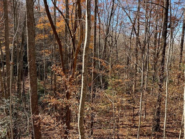 TBD Ashe Knob Drive, Hayesville, NC 28904