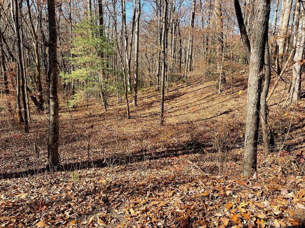 TBD Ashe Knob Drive, Hayesville, NC 28904