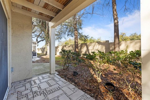 3401 CYPRESS HEAD COURT, Tampa, FL 33618