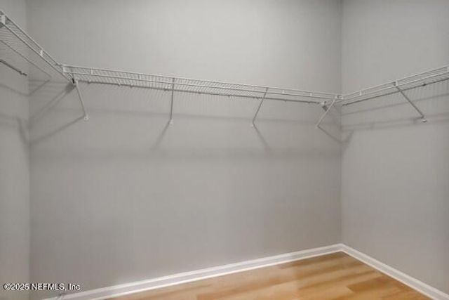 6132 WHITE TIP Road, Jacksonville, FL 32258