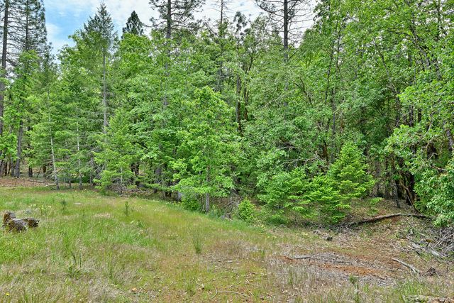 261 White Oak Drive, Cave Junction, OR 97523