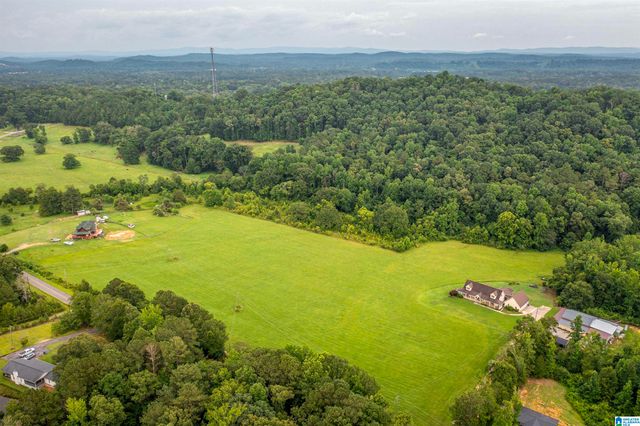 15.35 SPRING ROAD, Ohatchee, AL 36271