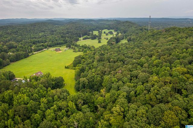 15.35 SPRING ROAD, Ohatchee, AL 36271