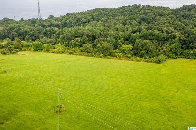 15.35 SPRING ROAD, Ohatchee, AL 36271