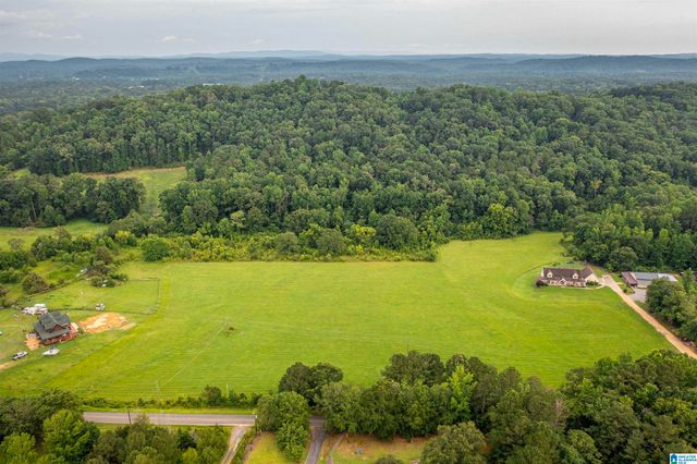 15.35 SPRING ROAD, Ohatchee, AL 36271