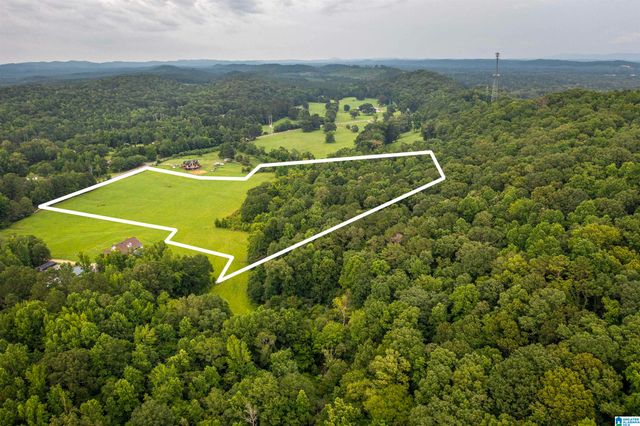 15.35 SPRING ROAD, Ohatchee, AL 36271