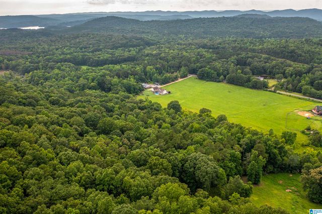 15.35 SPRING ROAD, Ohatchee, AL 36271